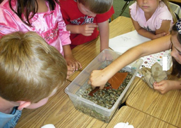 Children pick up a crayfish out of a container