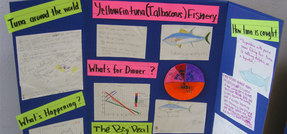 Yellowfin Tuna Fishery poster board with diagrams and questions