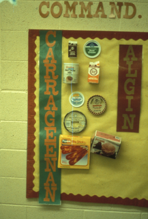 display board with various items pinned up