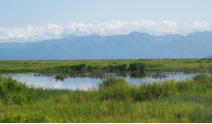 A pond in a grassy landscape with mountains in the background