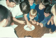 a group of children are examining a squid