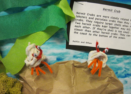 Student artwork of two hermit crabs and a description