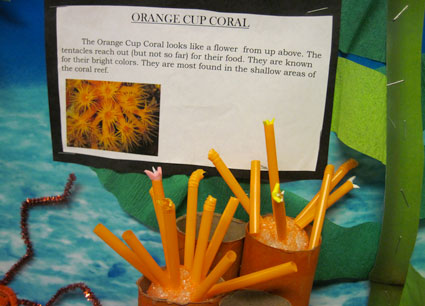 Student artwork of Orange Cup Coral